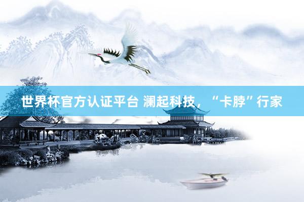 世界杯官方認(rèn)證平臺 瀾起科技,“卡脖”行家