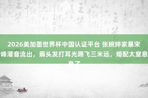 2026美加墨世界杯中國(guó)認(rèn)證平臺(tái) 張婉婷家暴宋寧峰灌音流出,薅頭發(fā)打耳光踢飛三米遠(yuǎn),婚配太窒息了