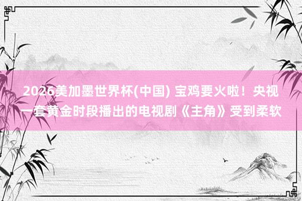 2026美加墨世界杯(中國) 寶雞要火啦！央視一套黃金時段播出的電視劇《主角》受到柔軟