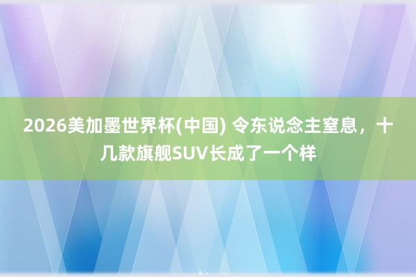 2026美加墨世界杯(中國) 令東說念主窒息,十幾款旗艦SUV長成了一個樣